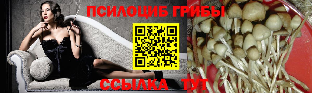 хочу наркоту  Вход с VPN  Карасук  Псилоцибиновые грибы Magic Shrooms  Галлюциногенные грибы ЛСД 